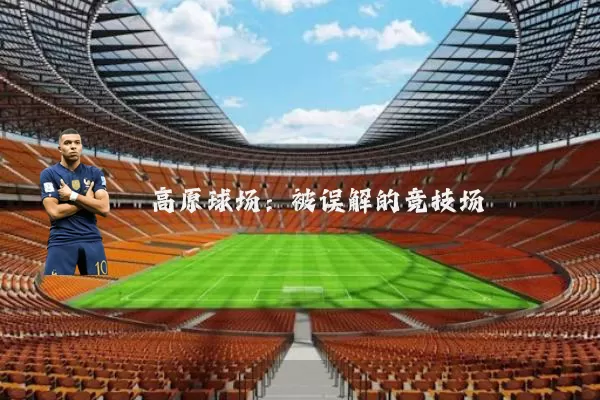 高原球场：被误解的竞技场